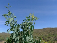 P1260475