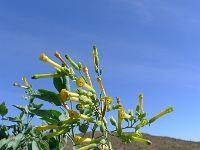 P1260476