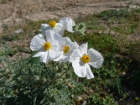 P1260477