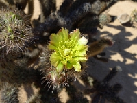 P1260478