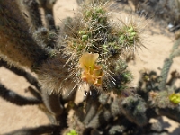 P1260479