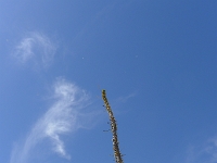 P1260481