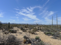 P1260482