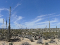 P1260483