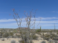 P1260485