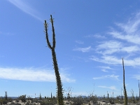 P1260489