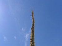 P1260490