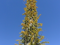 P1260491