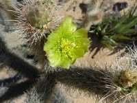 P1260493
