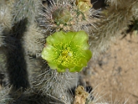 P1260494