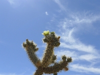 P1260495