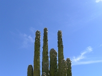 P1260497