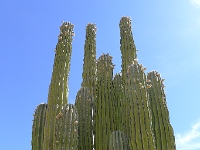 P1260498