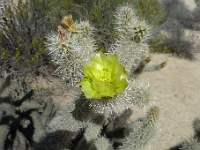 P1260499