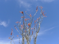 P1260500