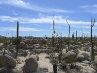 P1260504