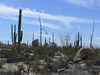 P1260505