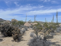 P1260506