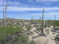 P1260508