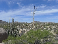 P1260509