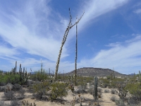 P1260511