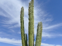 P1260513
