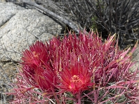 P1260515