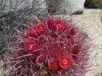 P1260517