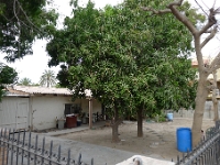 P1260597
