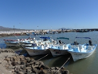P1260617