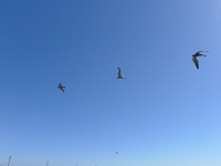 P1260618