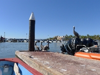 P1260629