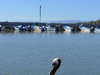 P1260631