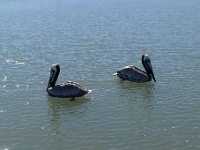 P1260635