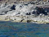 P1260661