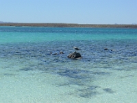 P1260678