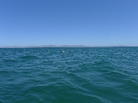 P1260693