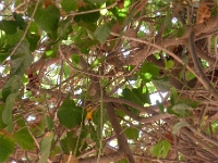 P1260743