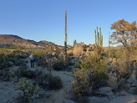 P1260829