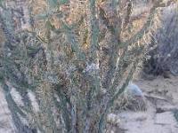 P1260831