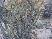 P1260832