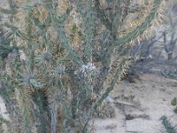 P1260833