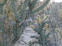 P1260835