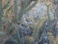 P1260837