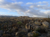 P1260843