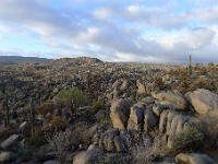 P1260844