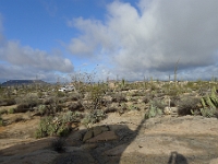 P1260848
