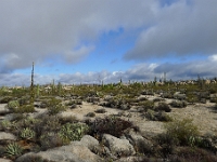 P1260849