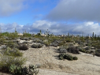 P1260851