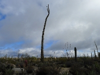 P1260852